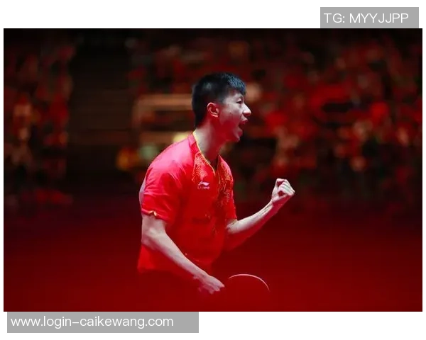 对话杨敏：回顾乒乓球生涯的辉煌与挑战与未来展望